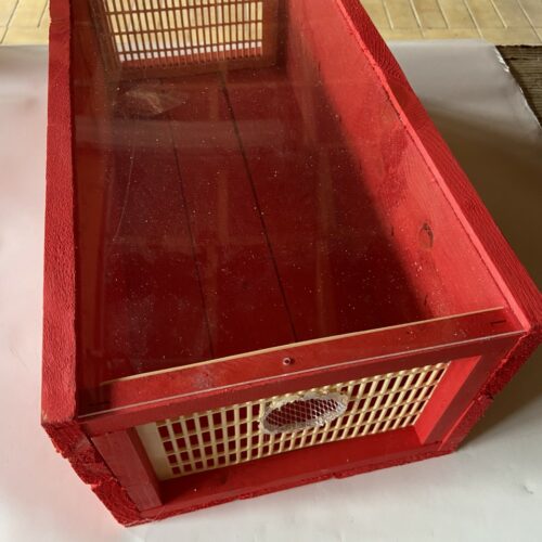 Piège à frelons Icko - Red trap
